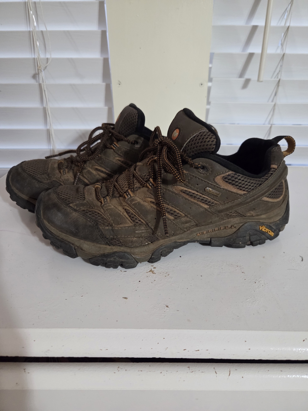 Merrell Moab 3 Hiking Shoe